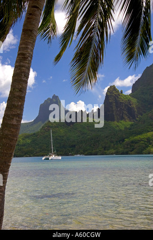 Segelboot in Cooks Bay auf der Insel Moorea verankert Stockfoto