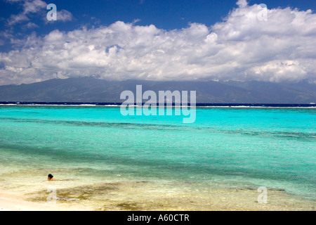 Eine Frau, Schwimmen in der Lagune auf der Insel Moorea Stockfoto