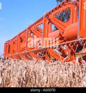 Mähdrescher Stockfoto