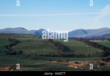 Blick von Nebo Tryfan, Glyders & The Carneddau blickt. Snowdonia-Nationalpark, Gwynedd, Nordwales. Stockfoto