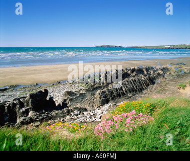 GB-WALES PEMBROKESHIRE POPPIT SANDS CARDIGAN BAY-INSEL Stockfoto