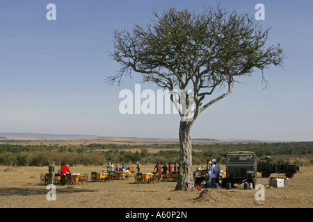 Heißluft-Ballonsafari, Frühstück nach der Landung, Kenia, Masai Mara National Reserve Stockfoto