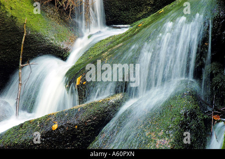 Creek Stockfoto