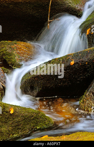 Creek Stockfoto