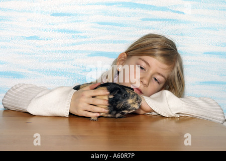 Englische Meerschweinchen (Cavia Aperea F. Porcellus), Mädchen mit schmeichelnden Meerschweinchen auf einem Tisch Stockfoto