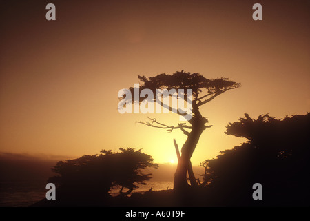Strand bei Sonnenuntergang Carmel, Kalifornien USA Stockfoto