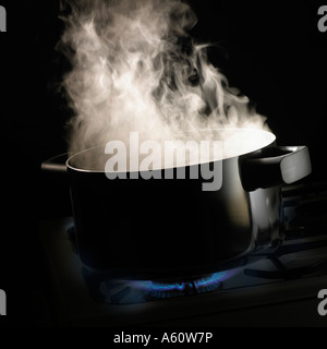 DAMPF STEIGT AUS PAN VON WASSER SIMMERING AUF GASHERD Stockfoto