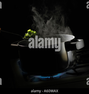 LÖFFEL HÄLT FLORETTE BROKKOLI ÜBER TOPF MIT KOCHENDEM WASSER MIT RISING DAMPF SIEDEN AUF GASHERD Stockfoto