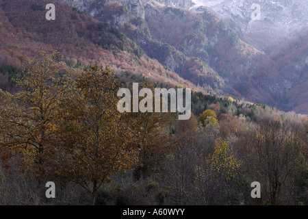 verlieben Sie sich in Gran Sasso Nationalpark, Italien, Abruzzen Stockfoto
