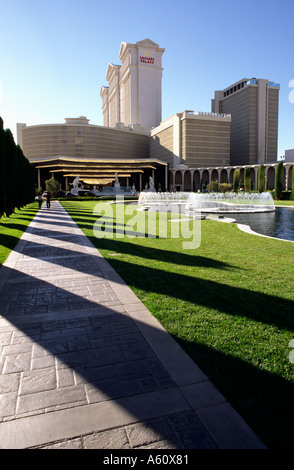 Tanne Bäume Schatten werfen über einen Wanderweg auf dem Gelände des Caesars Palace Hotel and Casino, Las Vegas, Nevada. Stockfoto