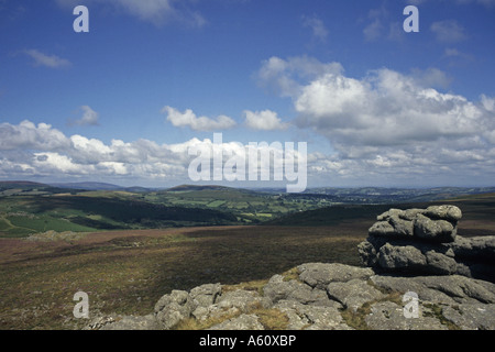 Blick über Kulturlandschaft, Dartmoor Nationalpark, Devon, England, Vereinigtes Königreich Stockfoto