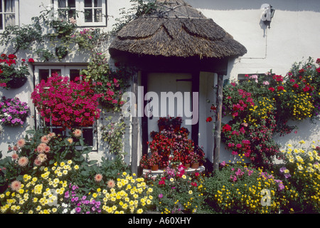 Haus mit Blumendekoration, Branscombe, Cornwall, England, Vereinigtes Königreich Stockfoto