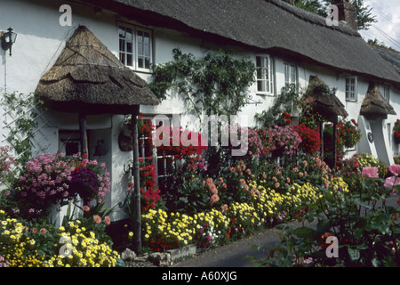 Haus mit Blumendekoration, Branscombe, Cornwall, England, Vereinigtes Königreich Stockfoto