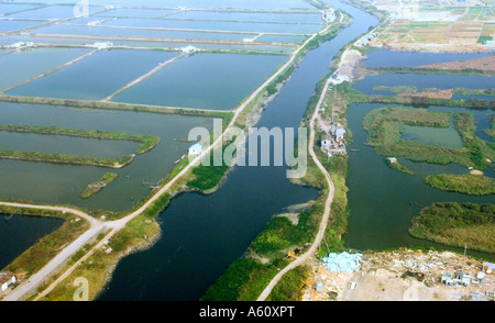 Aquakultur Meeresfrüchte Fischfarm Landwirtschaft Teiche am Westrand der Stadt Shenzhen, Provinz Guangdong China Pearl River Delta Stockfoto