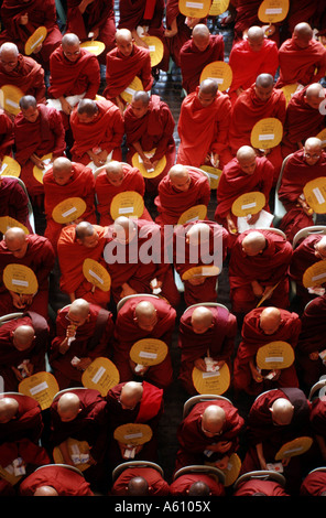 Assemblage von buddhistischen Mönchen, Burma, Yangon Stockfoto