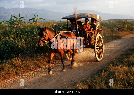 Pferdekutsche für Personenbeförderung, Burma, Inle-See Stockfoto