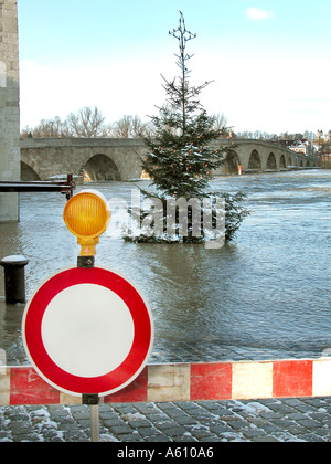 die Flut an Weihnachten lustig Weihnachtsbaum Wasser getränkt in Wasser überflutete Straße unter Wasserstadt Stockfoto