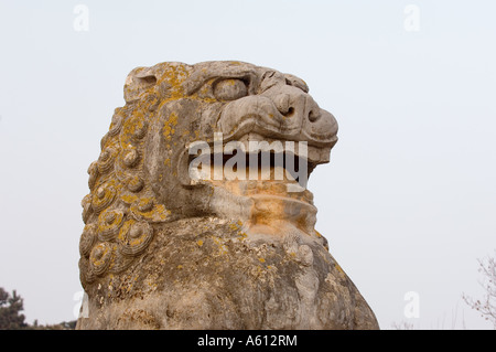 Qianling Mausoleum, Shaanxi, China. Löwenstatue Stein vor dem Grab von Kaiser der Tang-Dynastie Li Zhi und Kaiserin Wu Zetian Stockfoto