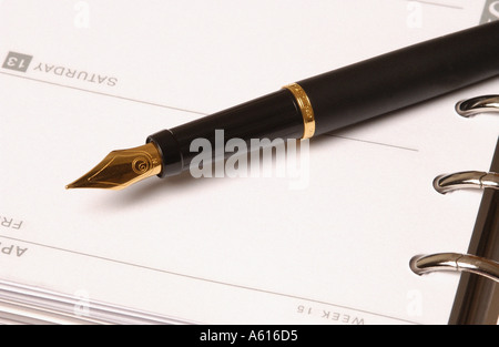 Nahaufnahme des Füllfederhaltagebuchs auf einer Tagebuchseite Stockfoto