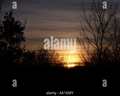Sonnenuntergang über Shipley Park, Heanor Stockfoto