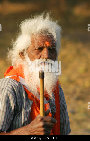 Weißen Haaren bärtigen heiligen Mann zu Fuß mit seinem Stab zu Fuß durch Indien. Stockfoto