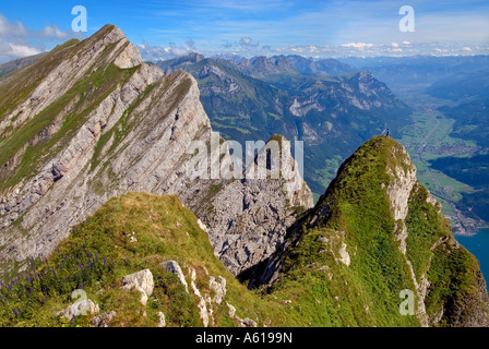 Blick von einem Gipfel des Bereichs Kurfuersten auf Walenstadt und das Tal der Seez, Kanton St. Gallen, Schweiz Stockfoto