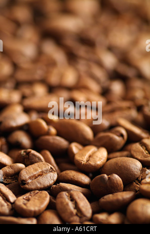 Kaffeebohnen hautnah Stockfoto