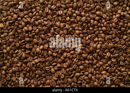 Kaffee Bohnen Stockfoto