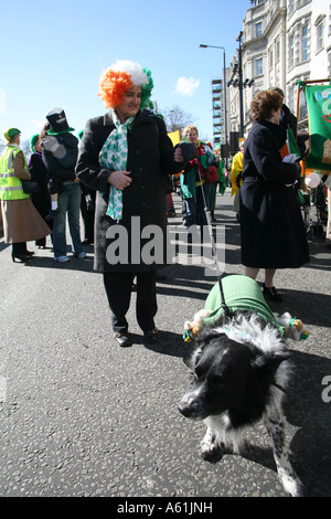 Ein Hund am St Patrick s Day Feierlichkeiten London Vereinigtes Königreich Stockfoto