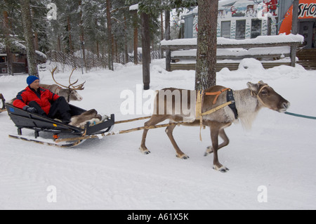 Tourist in einem Schlitten durch ein Rentier Santa Claus Village, Rovaniemi, Lappland, Finnland, Europa, Arktis gezeichnet Stockfoto