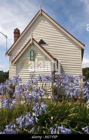 Afrikanische Blaue Lilie (Agapanthus Africanus) wachsen vor der Kirche mit No Vacancy singen Strahan Tasmanien Australien Stockfoto