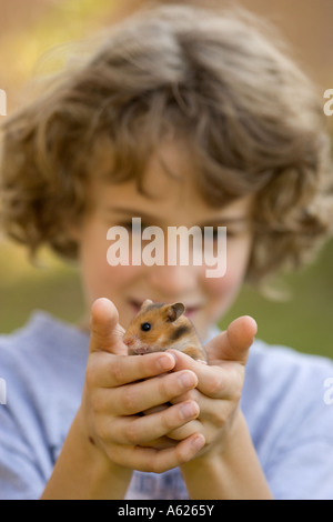 Junge Hamster - 9 Jahre alt - Louisiana USA Holding Stockfoto