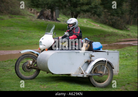 Cross-Country-Biker mit Seitenwagen Stockfoto