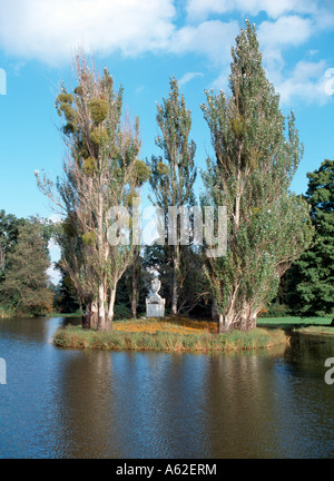 Wörlitzer Park, Rousseau-Insel, Stockfoto