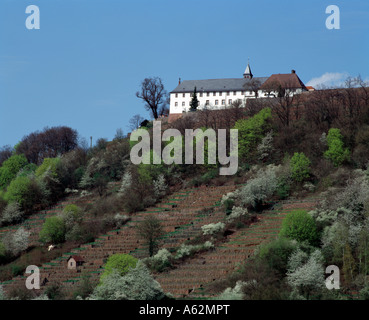 Engelberg Ob Dem Main, Franziskanerkloster Und Wallfahrtskirche, Aussenansicht Stockfoto