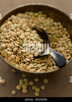 Linsen mit Hasselblad Mittelformat pro Digitalkamera geschossen Stockfoto