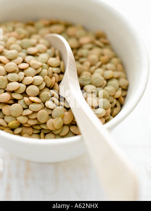 Linsen mit Hasselblad Mittelformat pro Digitalkamera geschossen Stockfoto