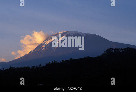 Kilimandscharo-Massiv aus Tansania Moshi Kilimanjaro National Park gesehen Stockfoto