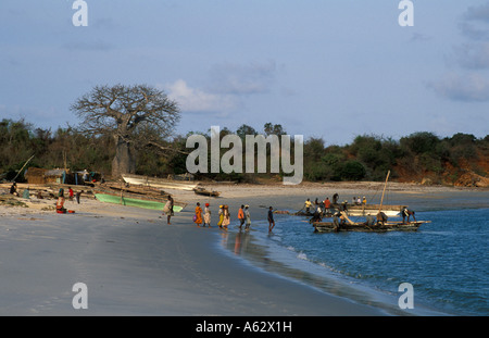 Angelboote/Fischerboote liegen auf der Baobab gesäumten Strand Kilwa Masoko South Coast Tansania Stockfoto