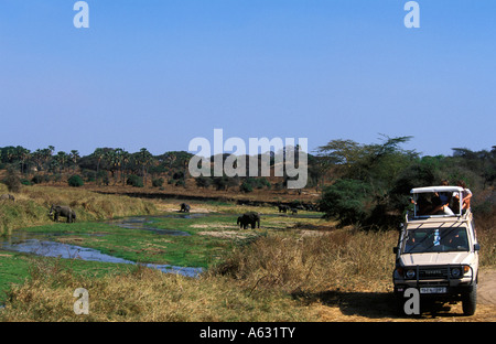Touristen, die gerade afrikanische Elefanten Loxodonta Africana in einem Flussbett Tarangire Nationalpark Tansania Stockfoto