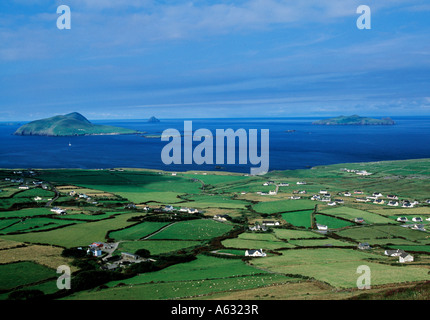 Irland, County Kerry, Dingle Halbinsel, Blasket Inseln, wilden Atlantik Weg Stockfoto