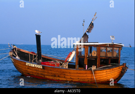 Möwe hocken auf Fischerboot, Ahlbeck, Usedom, Mecklenburg-Western Pomerania, Deutschland Stockfoto