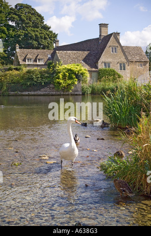 Schwäne und Enten neben der alten Mühle am Fluss Coln an der Cotswold-Dorf Fairford, Gloucestershire Stockfoto