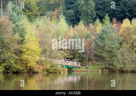 Herbst im Forest of Dean am Stockenten Pike See, Gloucestershire Stockfoto