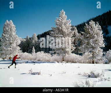 Cross Country Ski in einer weißen Landschaft Stockfoto