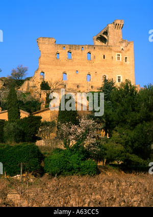 Frankreich-Châteauneuf-du-Pape Stockfoto