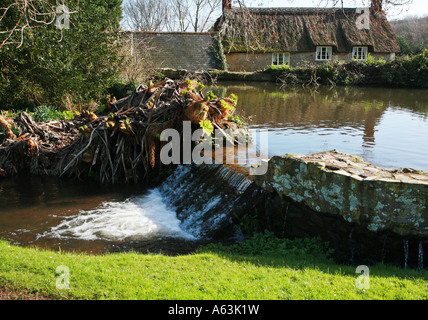 Dorf Teich Wasserfall und Reetdachhaus im Osten Quantoxhead Somerset England Stockfoto