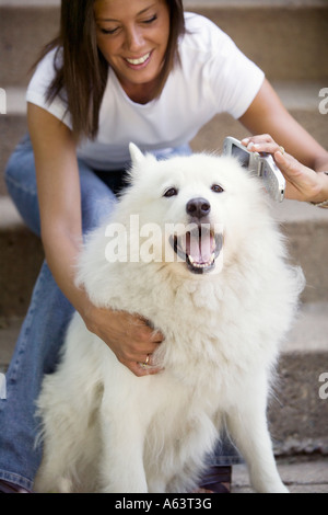 Telefonische Nachricht für doggy Stockfoto