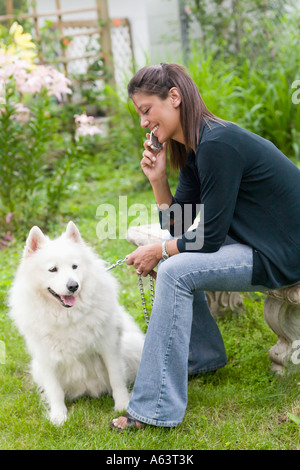 Frau am Handy mit Hund Stockfoto