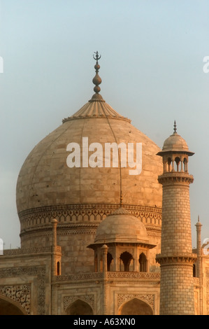 Nahaufnahme von Taj Mahal Agra Indien Stockfoto